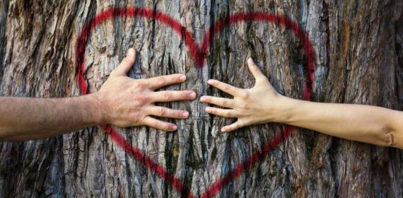 What The 9/11 Survivor Tree Can Teach Us About Healing Relationships?