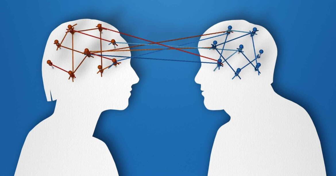 Brain differences and Relationships Series Part 3: Executive Function Supports